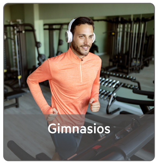 Gimnasios